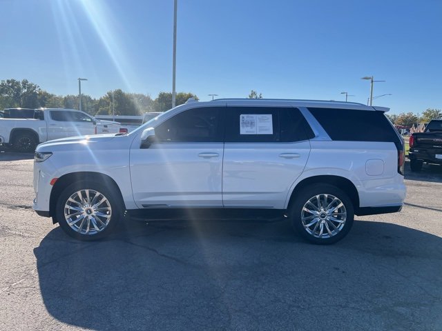 2023 Cadillac Escalade Premium Luxury photo 2