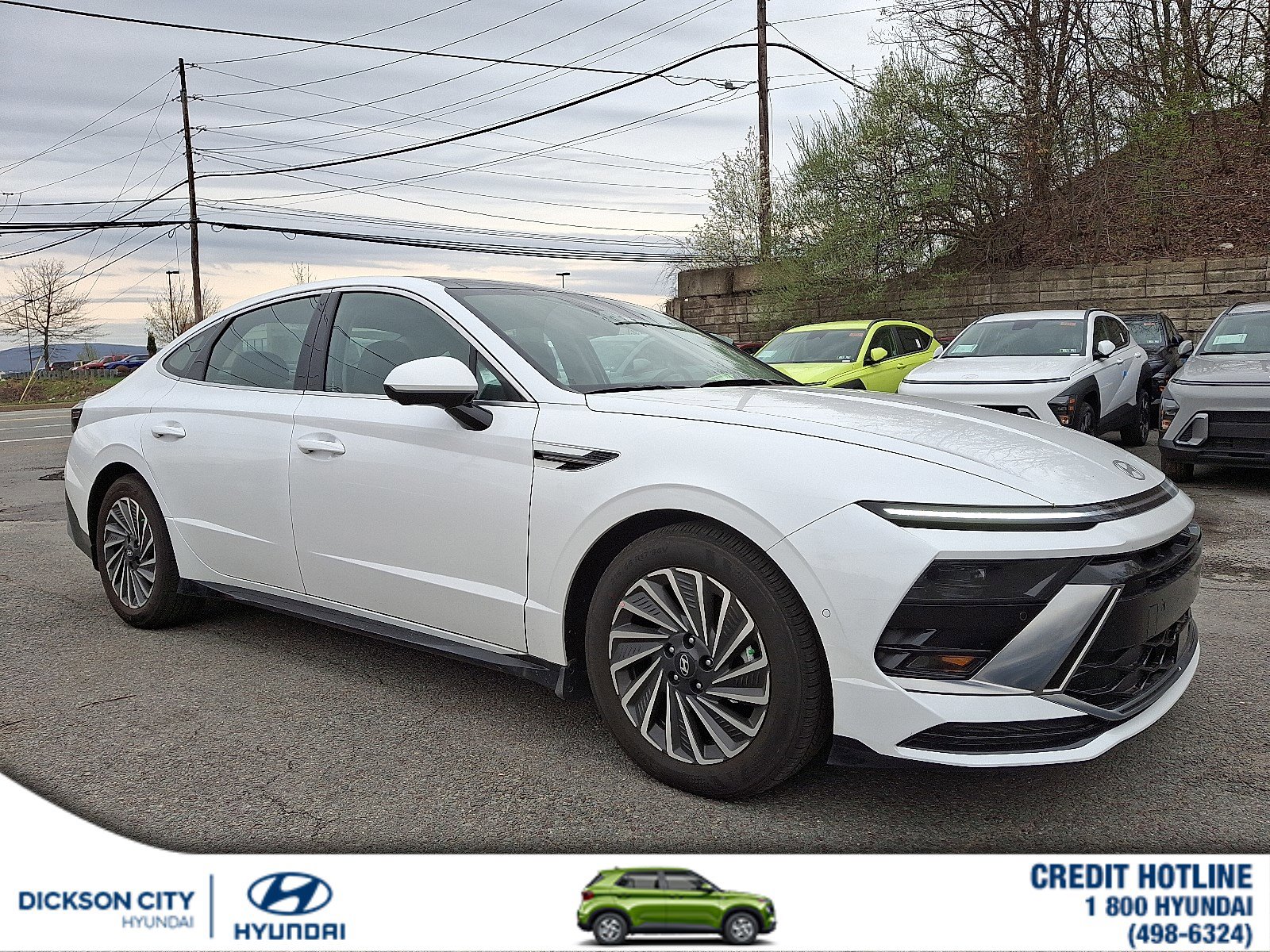 2025 Hyundai Sonata Hybrid Limited's photo