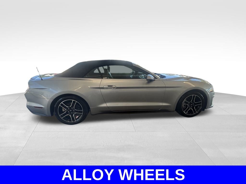2023 Ford Mustang EcoBoost Premium photo 3