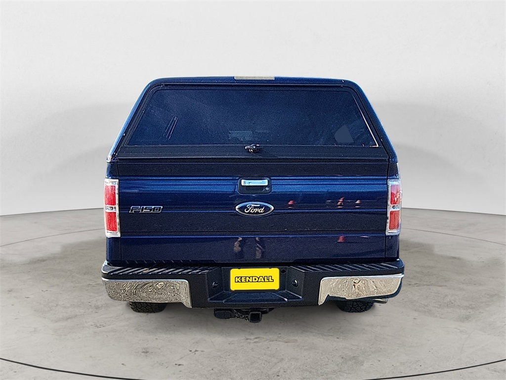 2010 Ford F-150 photo 3