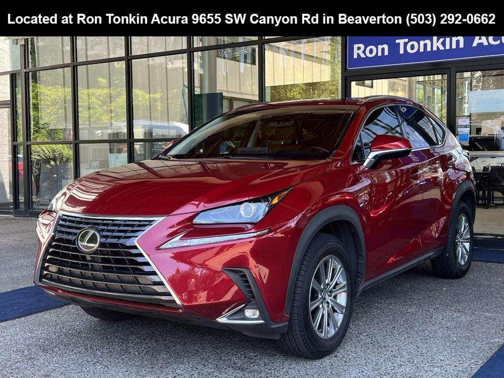 2018 Lexus NX 300 Luxury photo 4