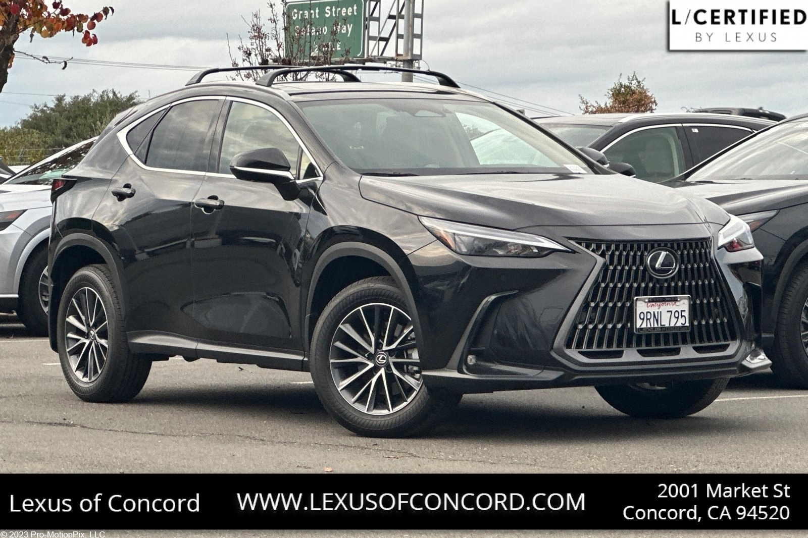 2025 Lexus NX Hybrid 350h's photo