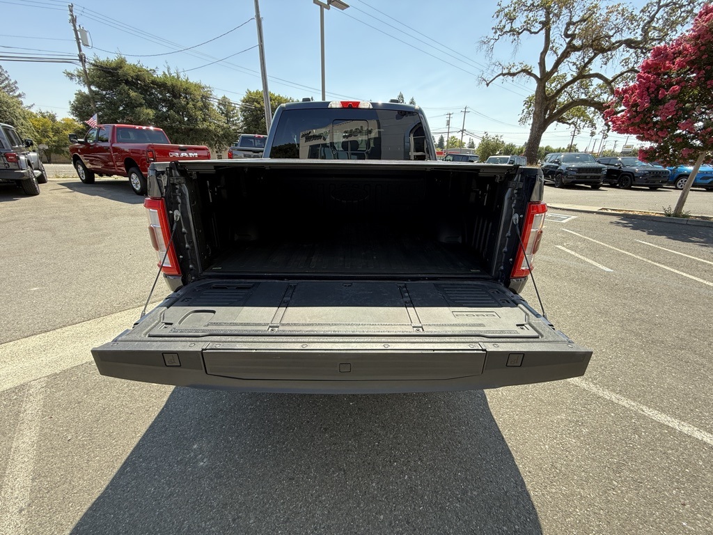 2021 Ford F-150 Platinum photo 23