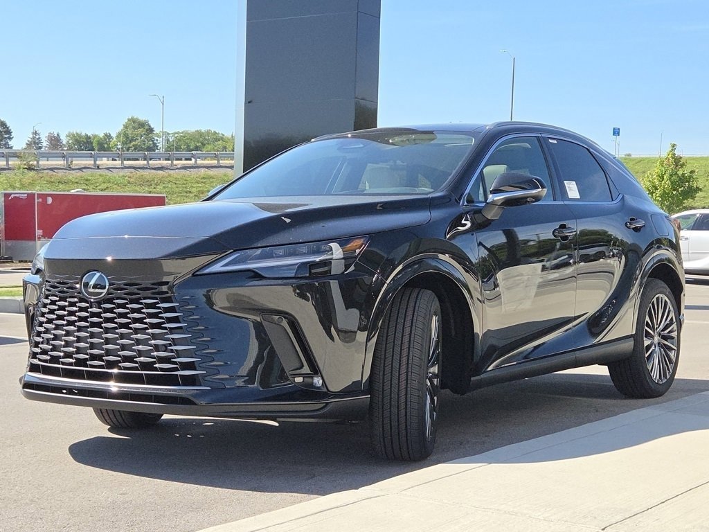 2025 Lexus RX 350 Luxury photo 18