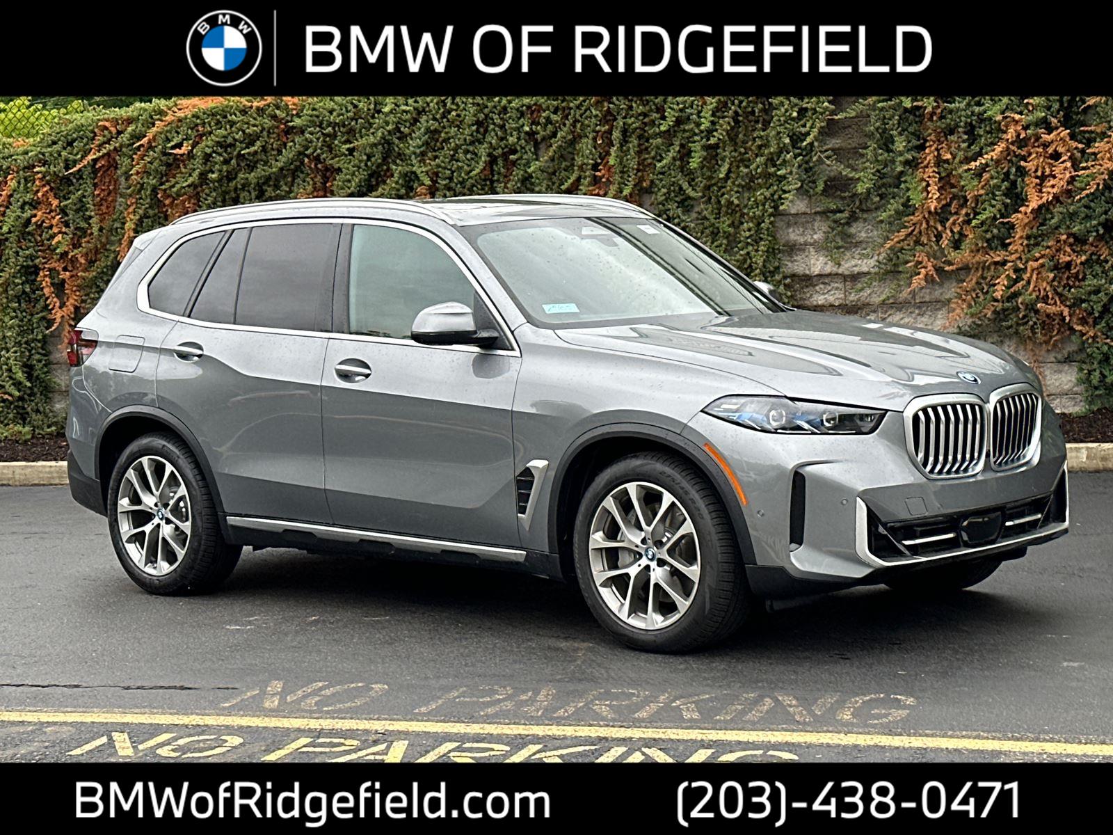 New 2025 Skyscraper Grey Metallic BMW xDrive50e image 1
