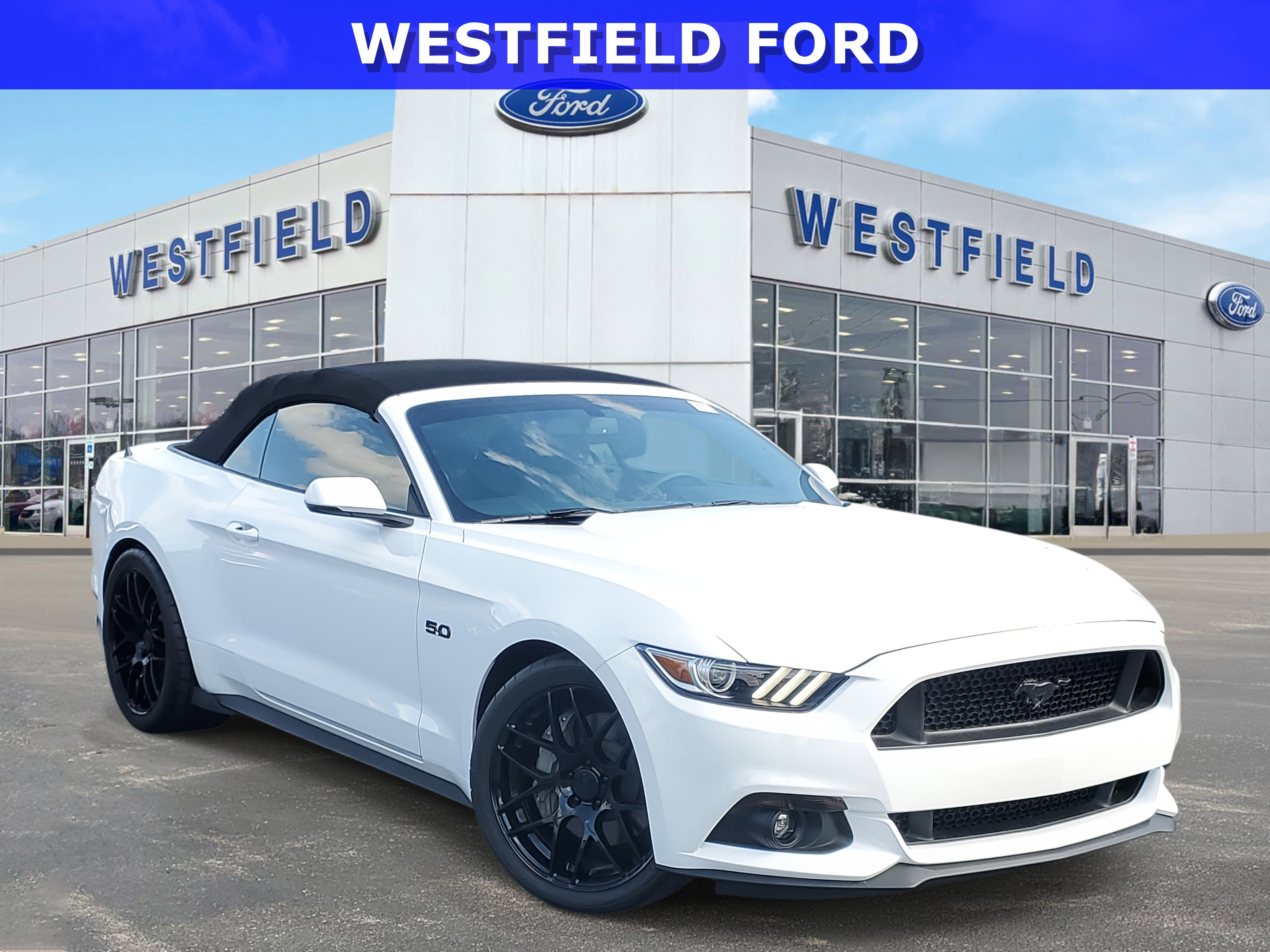 2015 Ford Mustang GT Premium photo 2