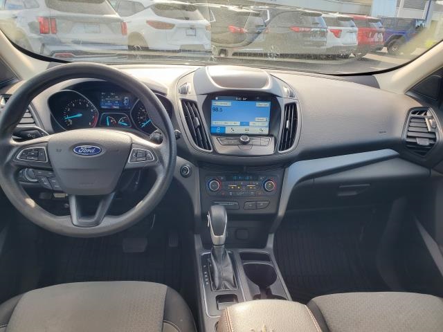 2019 Ford Escape SE photo 10