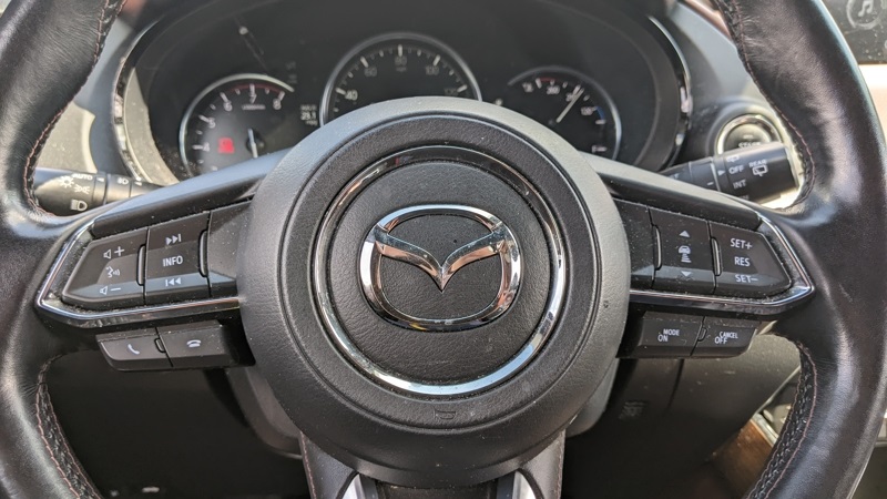 2019 Mazda CX-9 Signature Sport photo 13