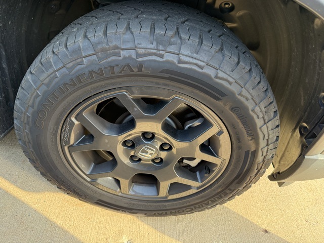 2024 Honda Pilot TrailSport photo 3