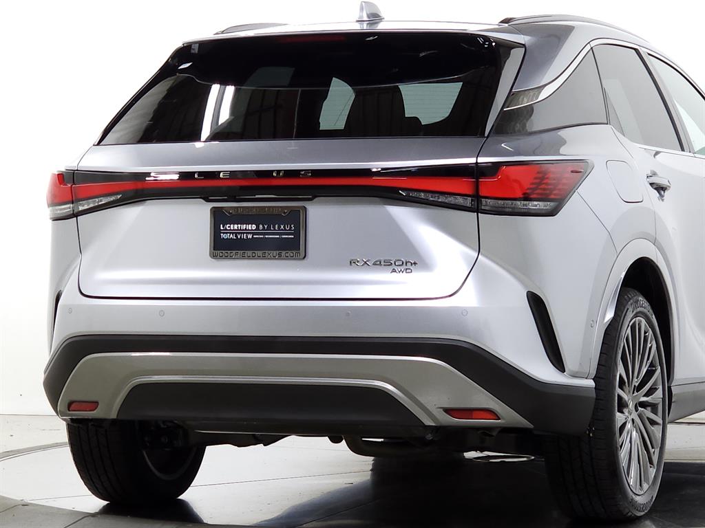 2024 Lexus RX 450h photo 10