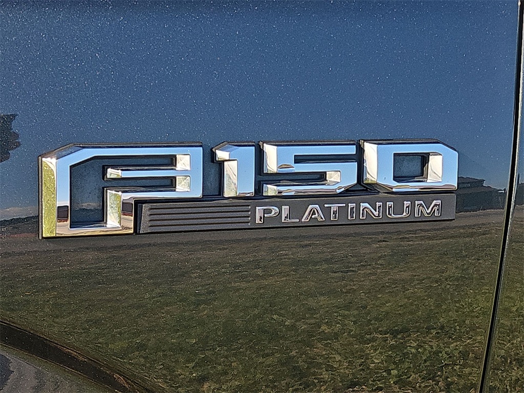 2015 Ford F-150 Platinum photo 16