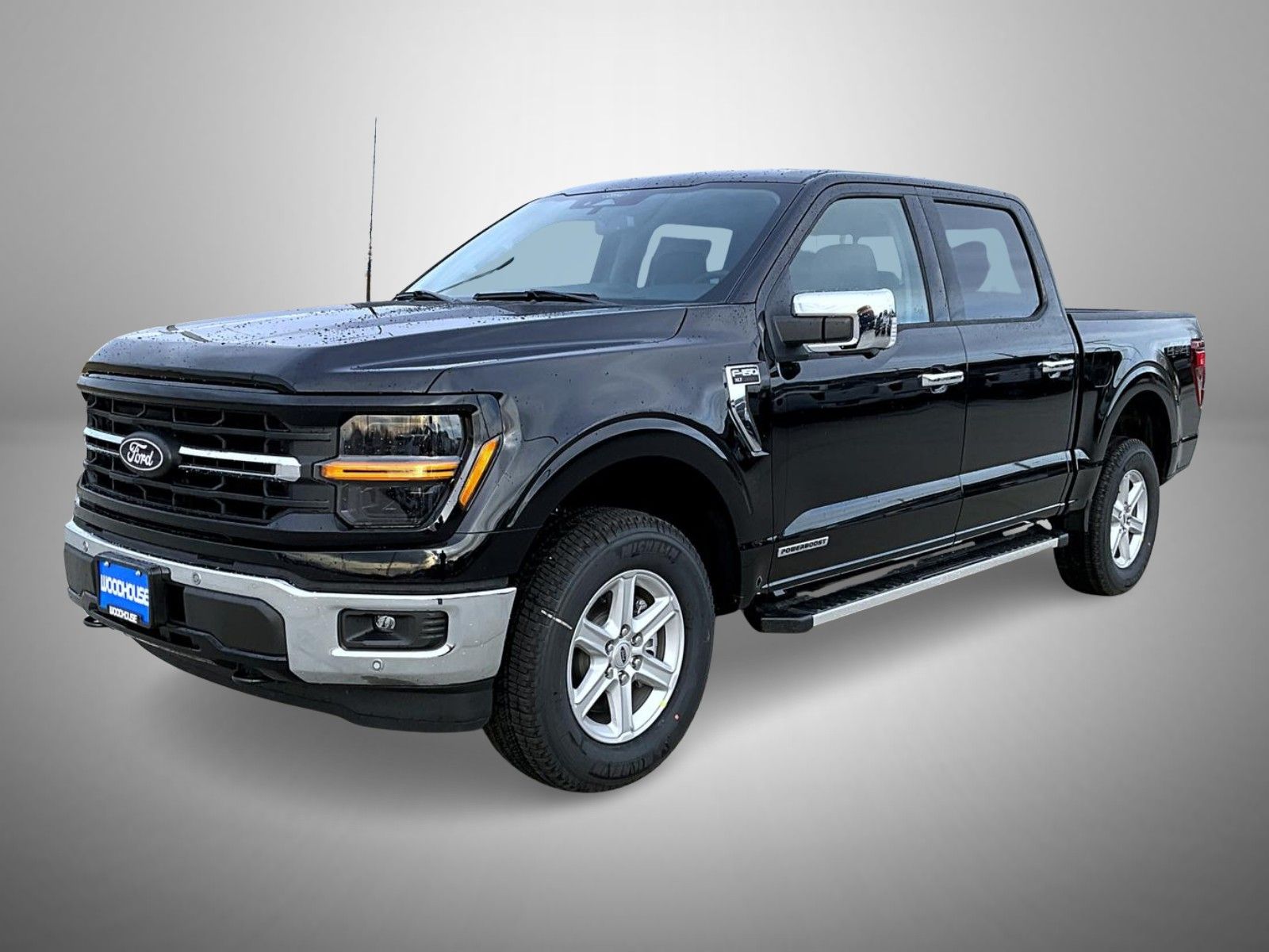 2025 Ford F-150 XLT's photo