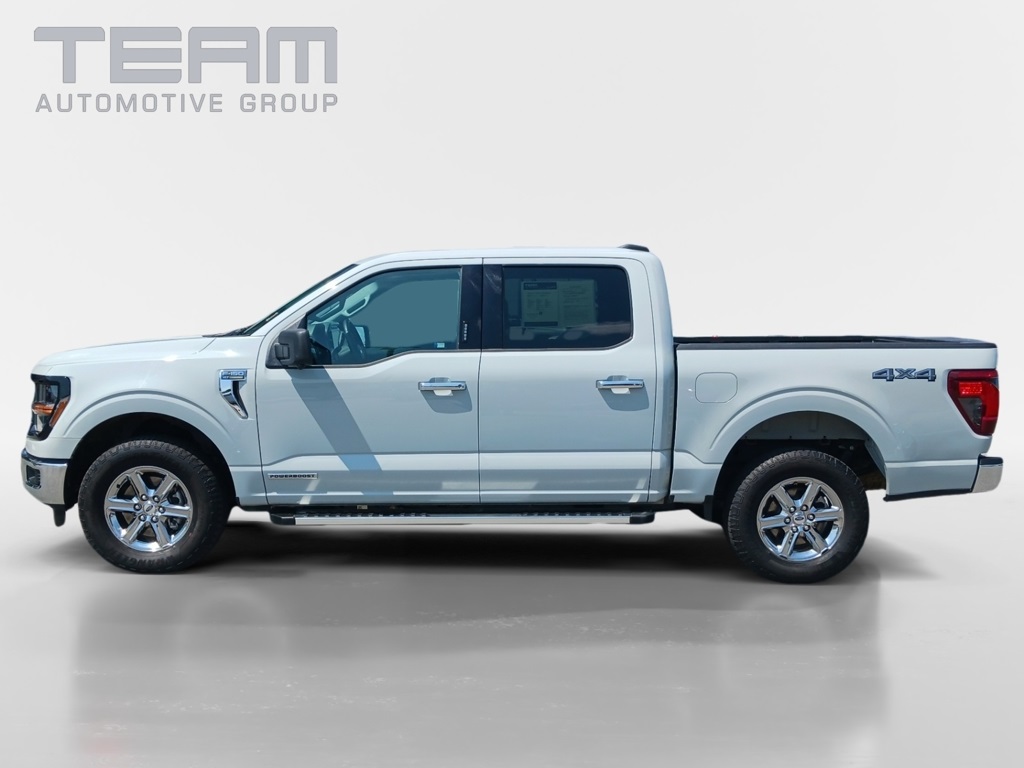 2024 Ford F-150 XLT photo 4