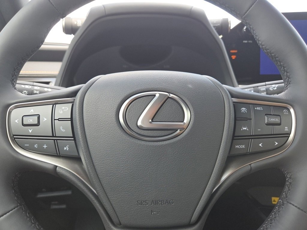 2025 Lexus UX Premium photo 31