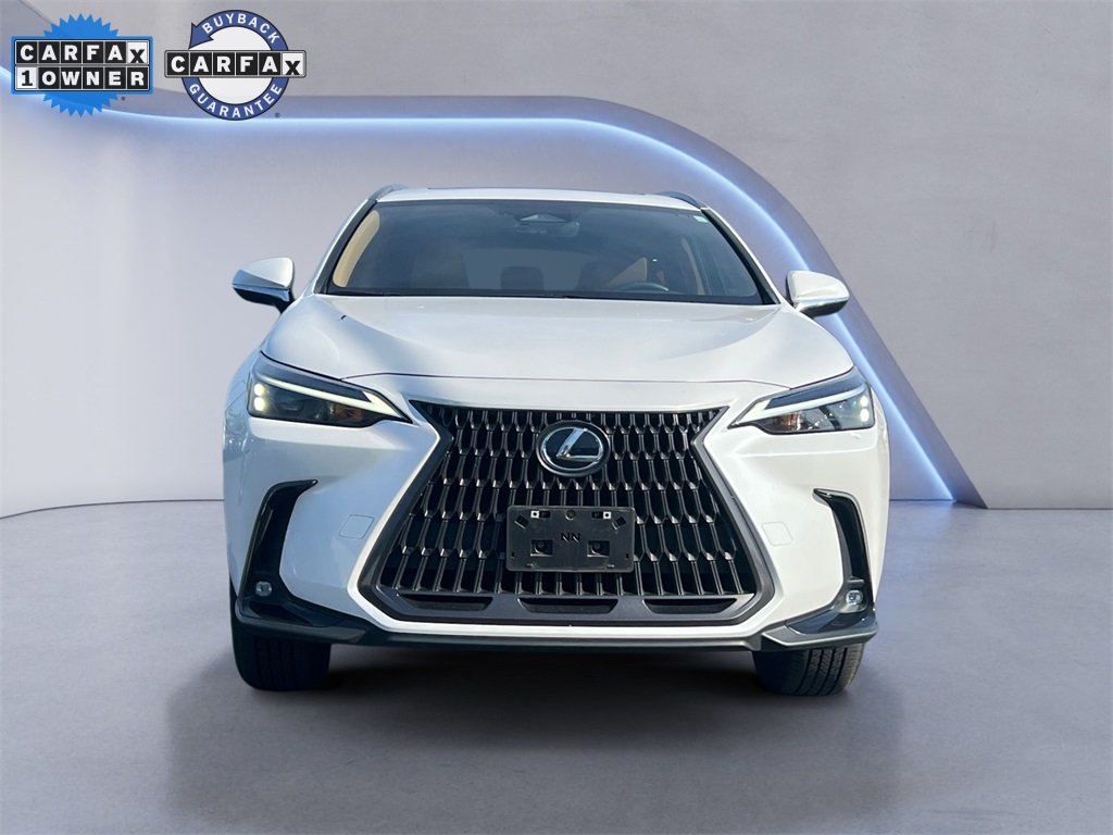 2024 Lexus NX 350 photo 7