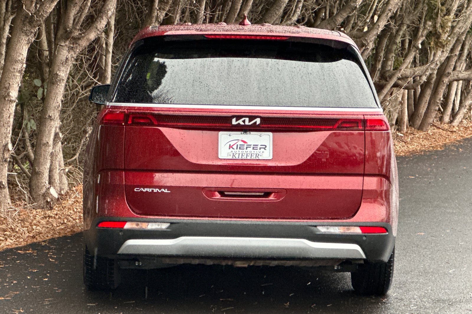 2024 Kia Carnival LX photo 4