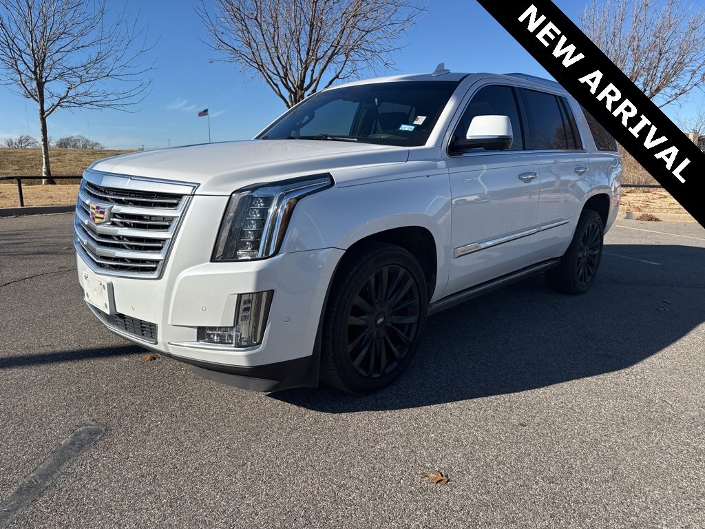 2019 Cadillac Escalade Platinum's photo