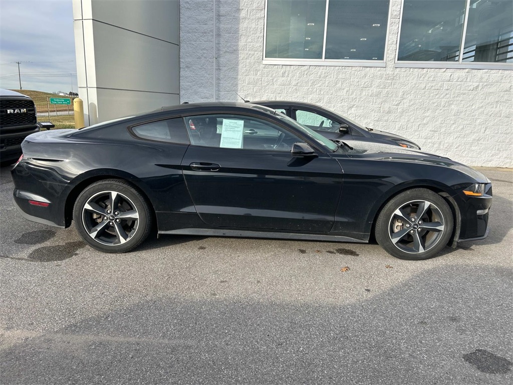 2019 Ford Mustang EcoBoost photo 3