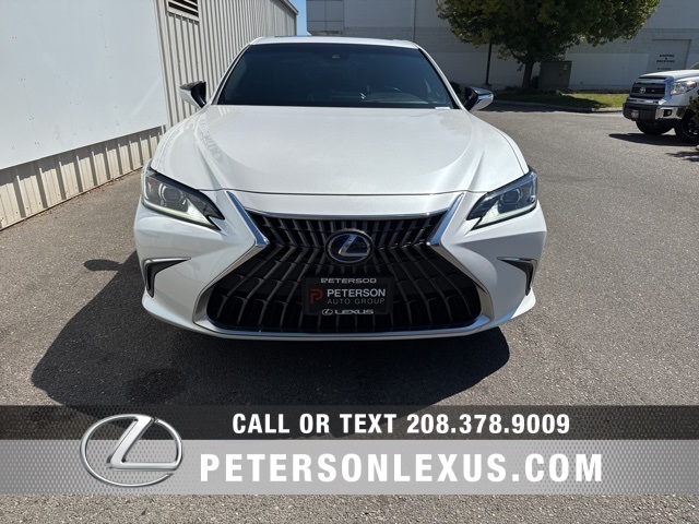 2022 Lexus ES 300h photo 9