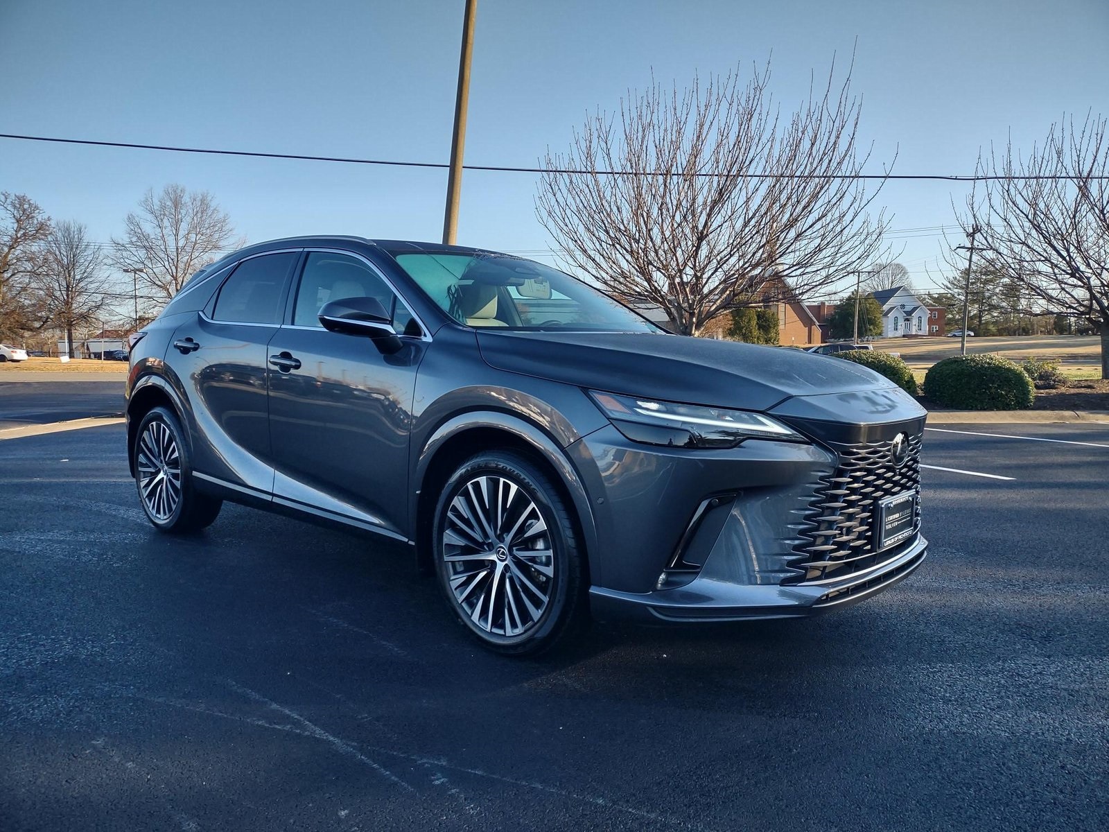 2024 Lexus RX Hybrid 350h's photo
