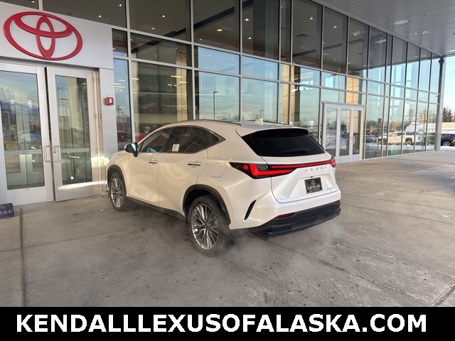 2025 Lexus NX 350h Luxury AWD photo 4
