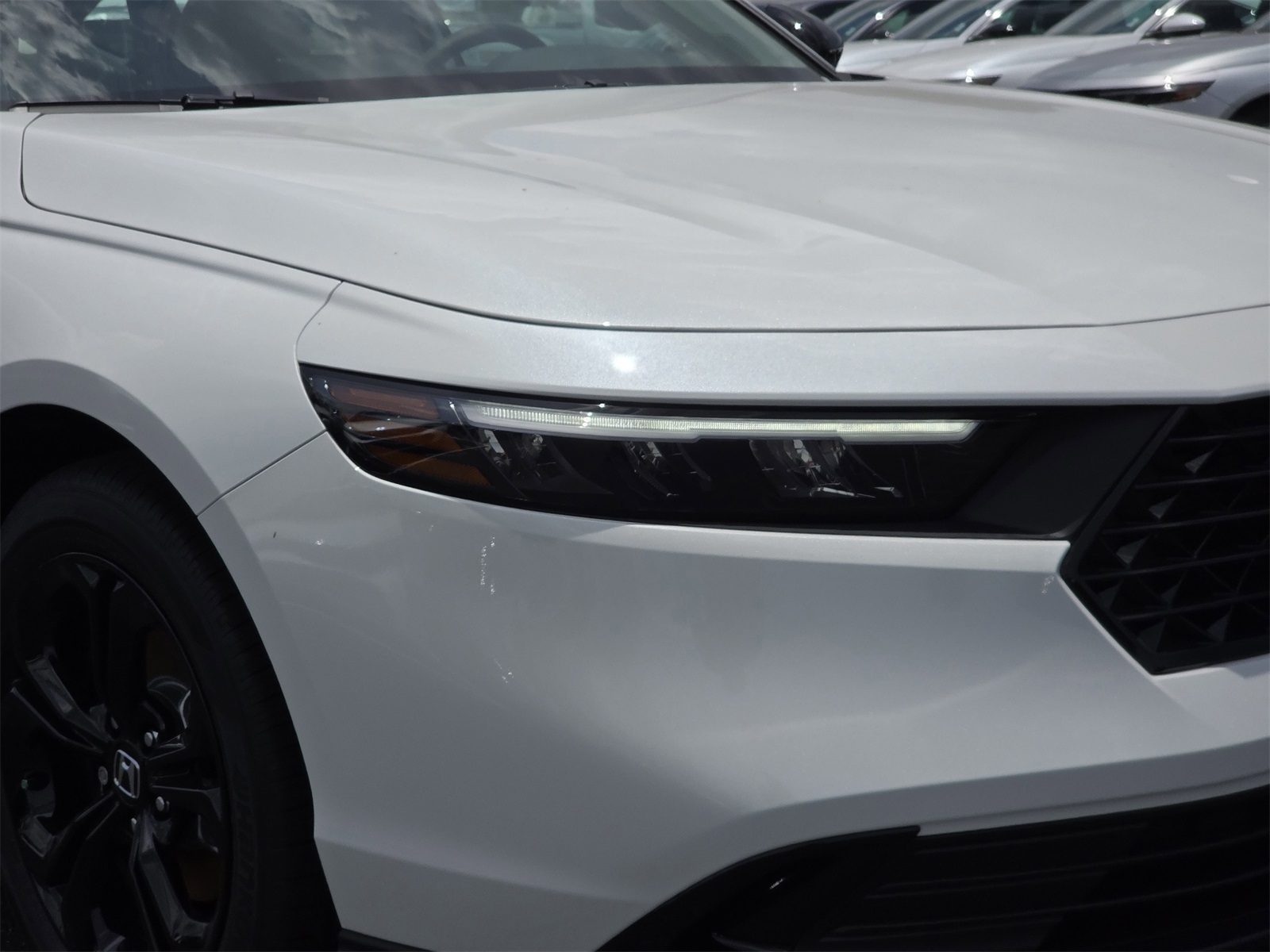 2025 Honda Accord 1.5T SE photo 8