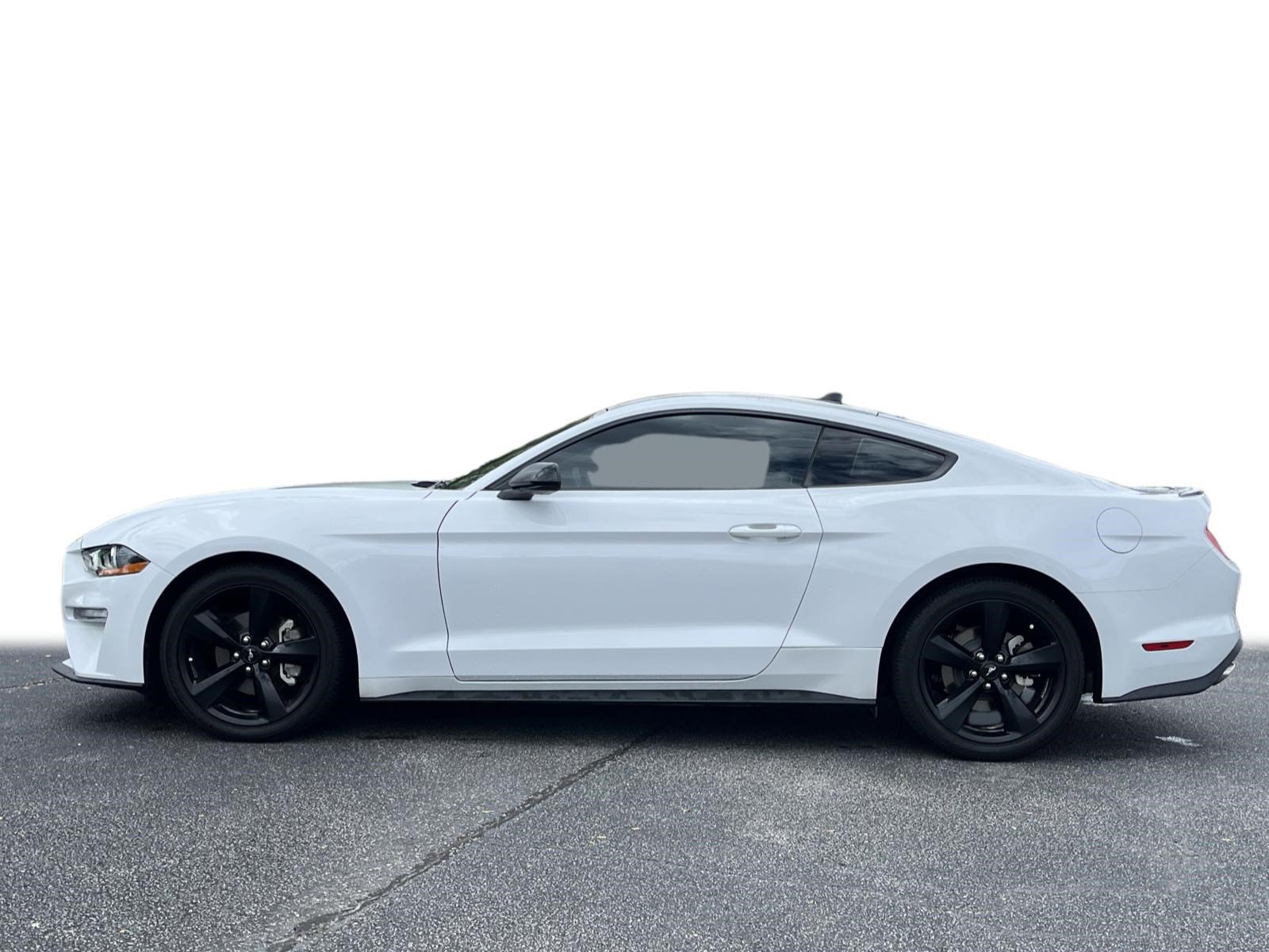 2022 Ford Mustang EcoBoost photo 14