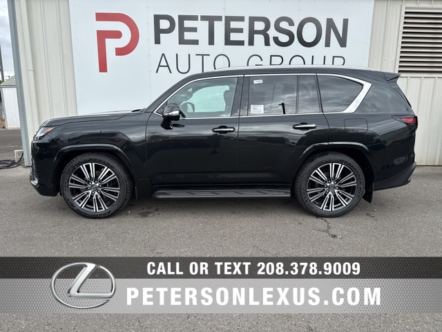 2025 Lexus LX Luxury photo 5