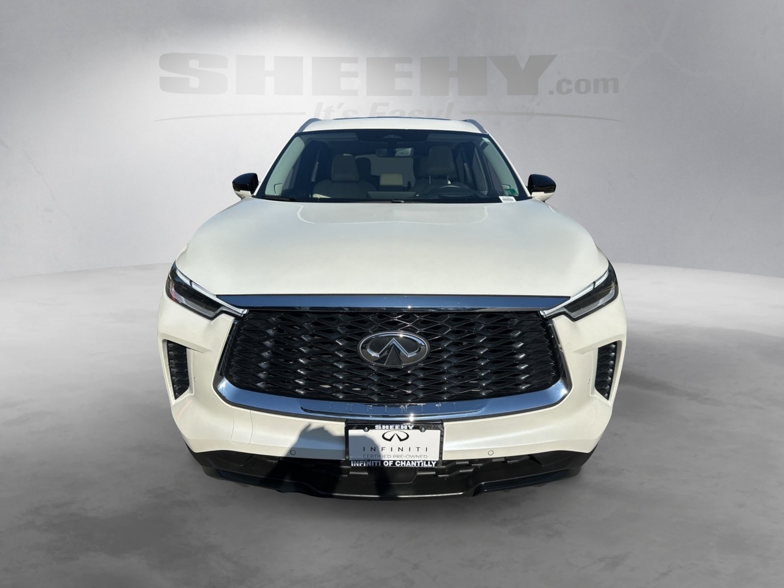 2025 Infiniti QX60 Luxe photo 13