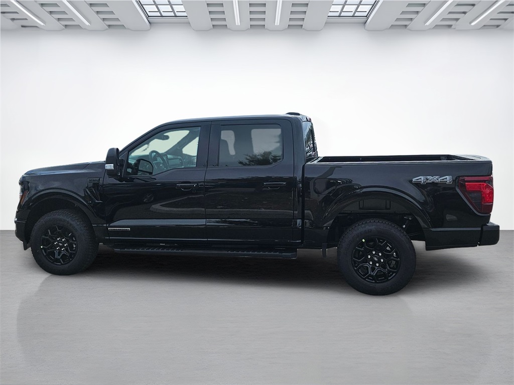 2025 Ford F-150 XLT photo 8