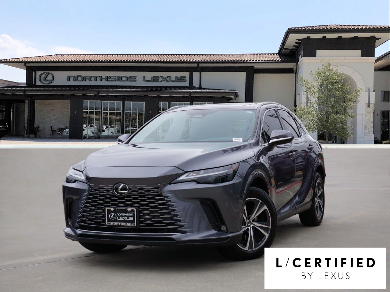 2023 Lexus RX 350's photo