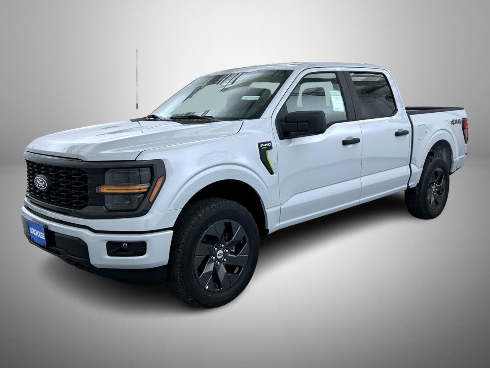 2025 Ford F-150 STX's photo