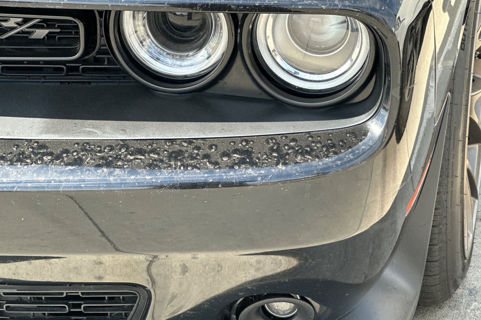 2016 Dodge Challenger R/T Scat Pack photo 8
