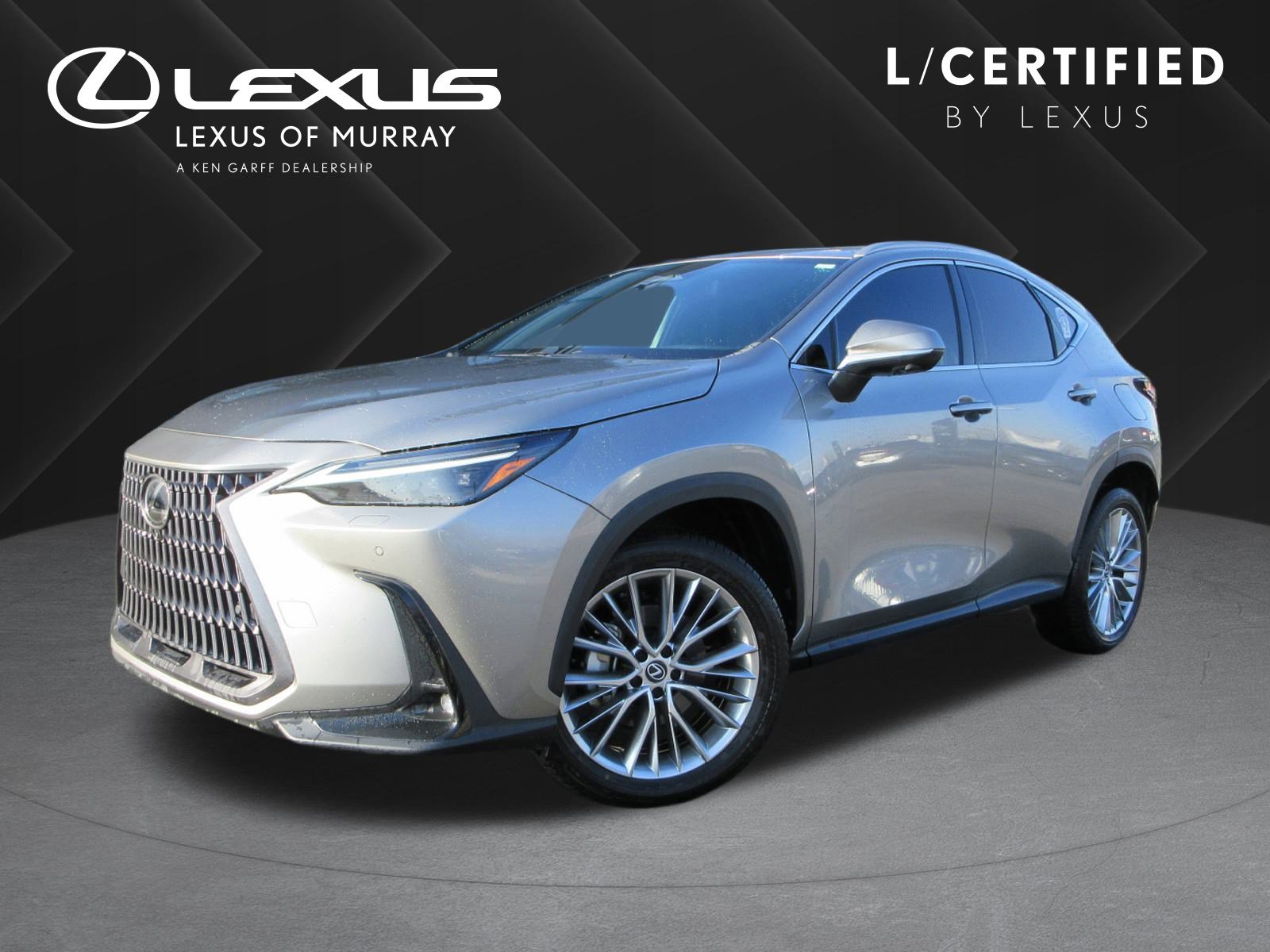 2024 Lexus NX Base's photo