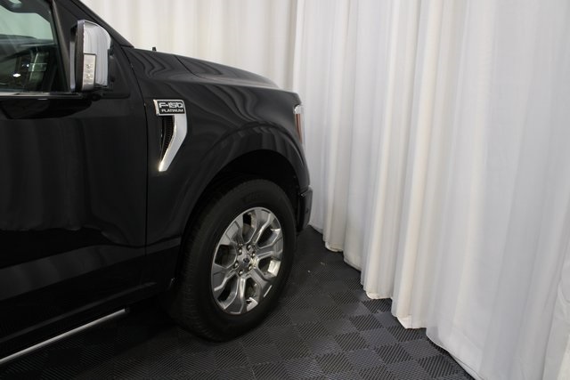 2021 Ford F-150 Platinum photo 28