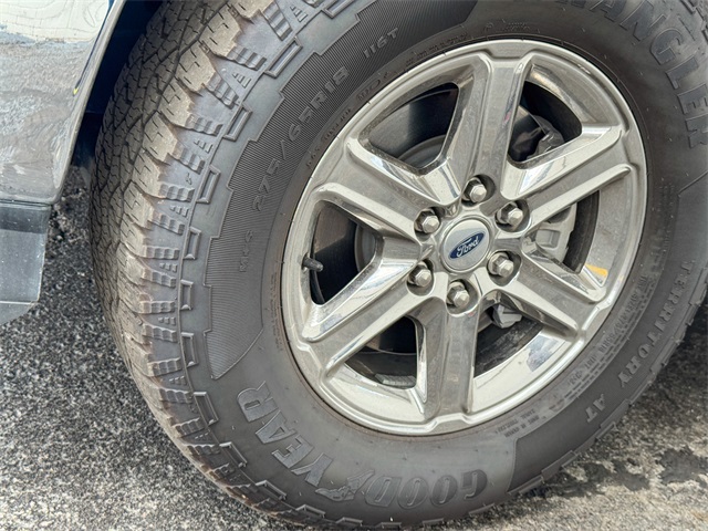 2024 Ford F-150 XLT photo 12