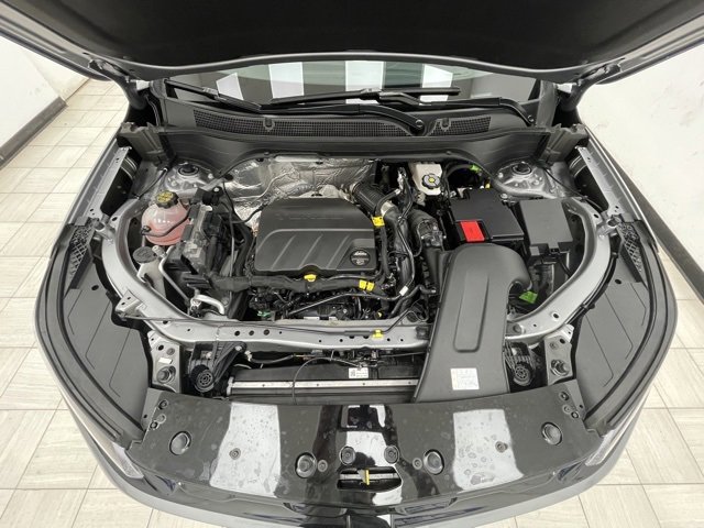 View 15