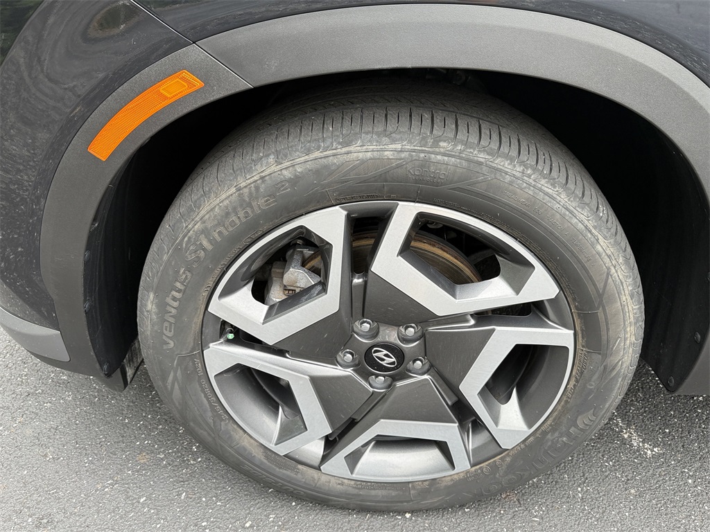 2023 Hyundai Palisade Limited photo 10