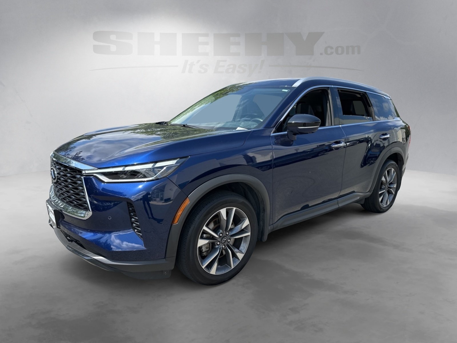 2024 Infiniti QX60 Luxe photo 3