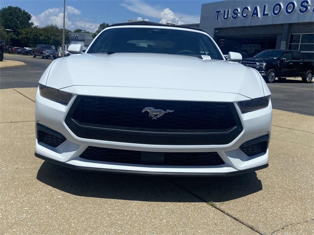 2025 Ford Mustang EcoBoost photo 6