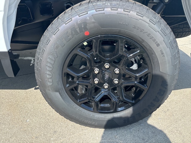 2025 Ford F-150 STX photo 8