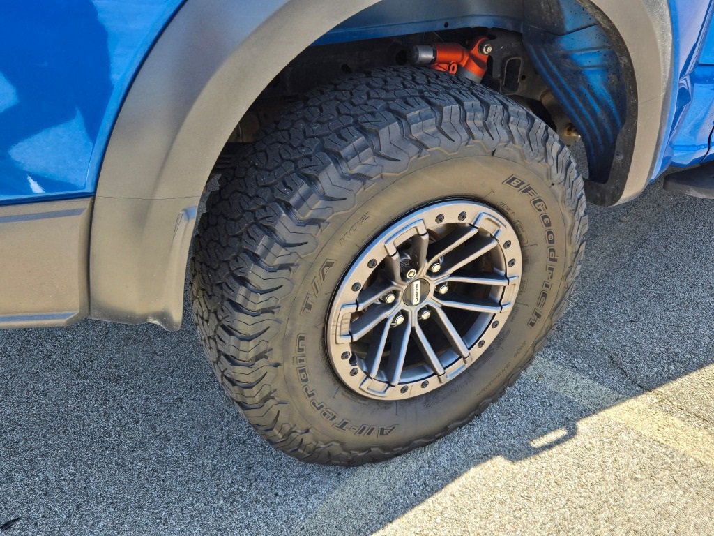2019 Ford F-150 Raptor photo 12