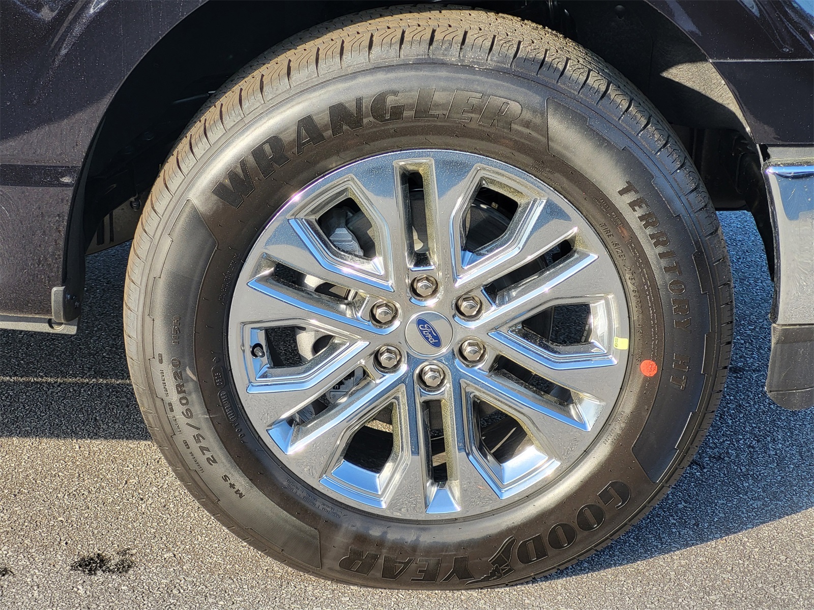 2025 Ford F-150 XLT photo 10