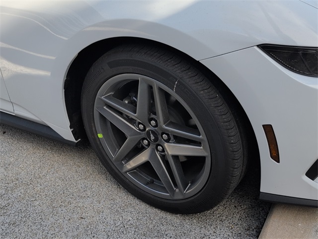 2025 Ford Mustang EcoBoost photo 3