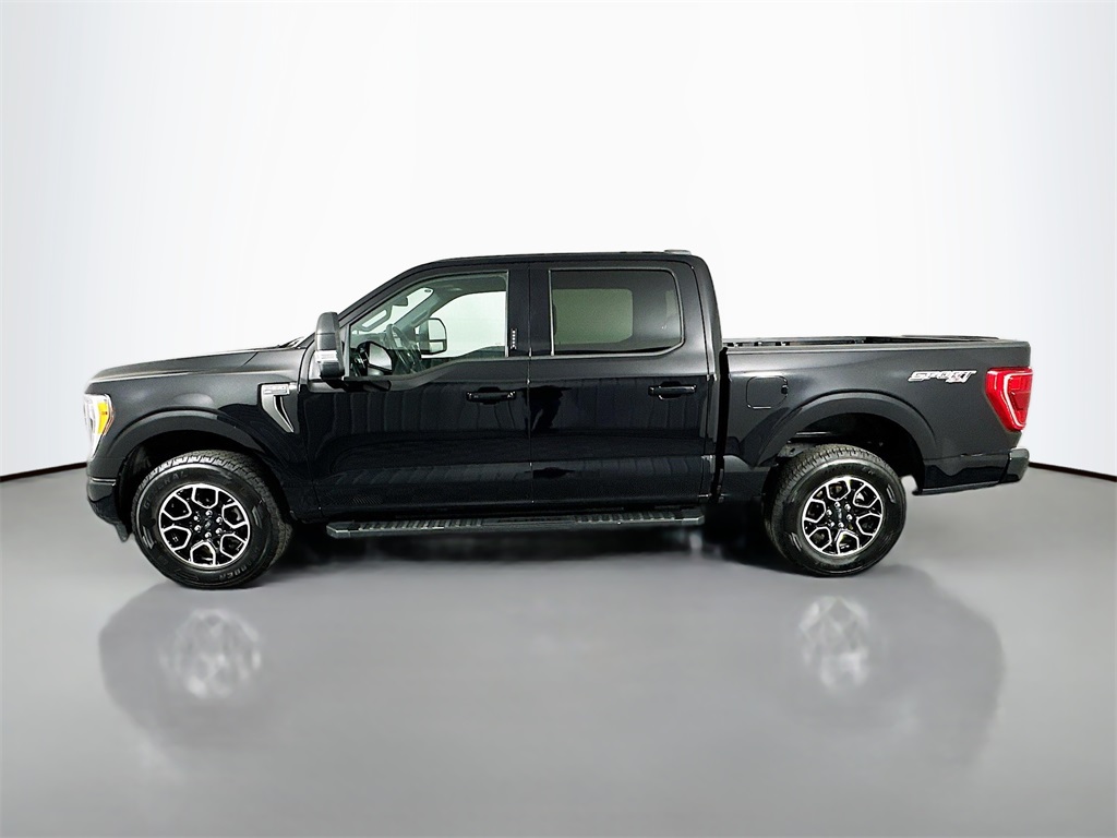 2023 Ford F-150 XLT photo 4