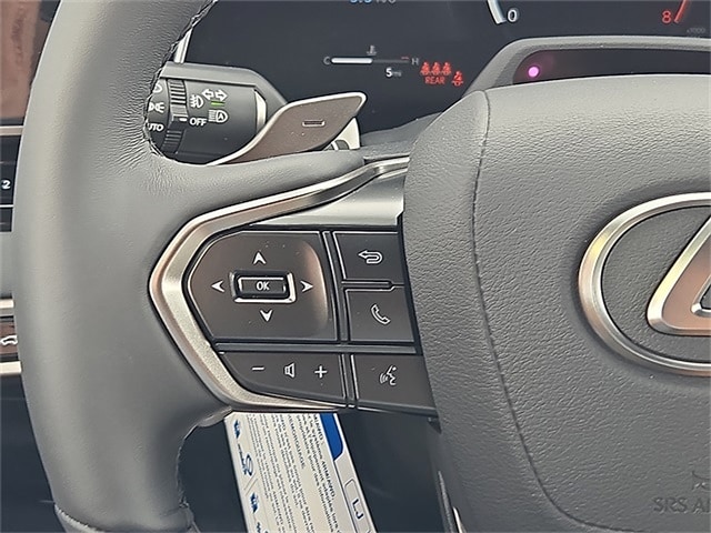 2025 Lexus RX 350 Premium photo 22