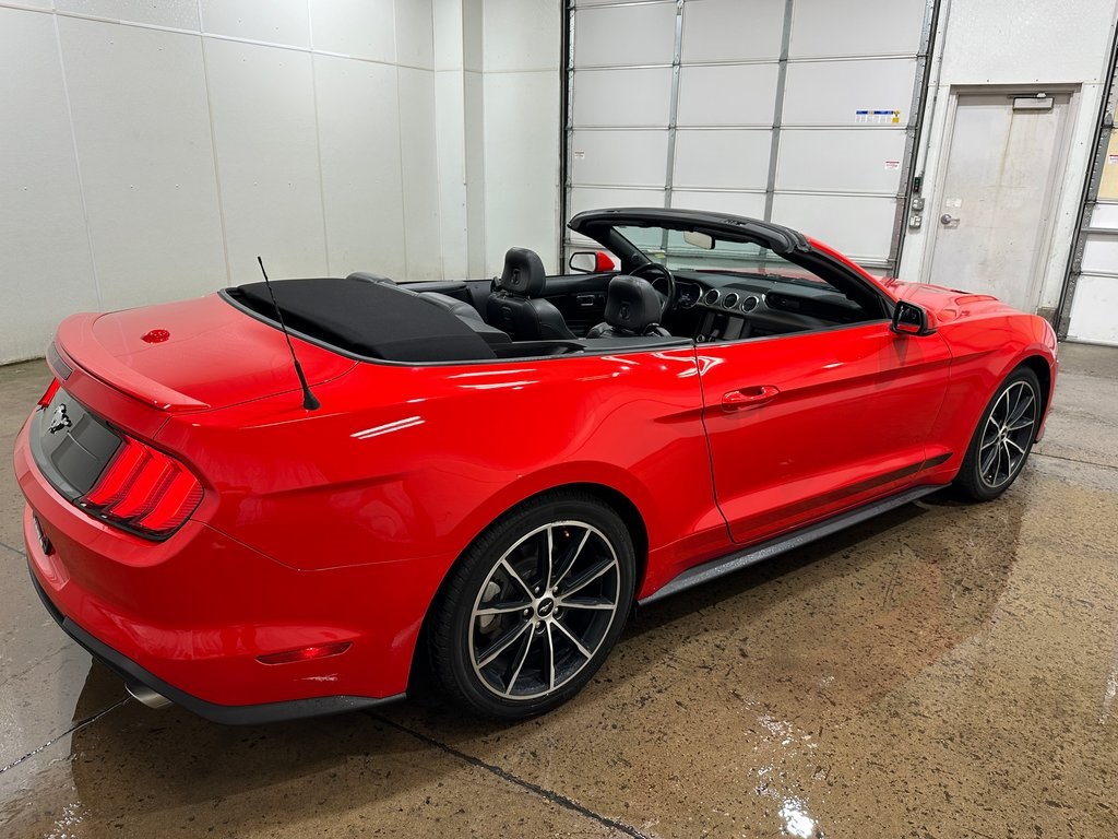 2020 Ford Mustang EcoBoost Premium photo 12
