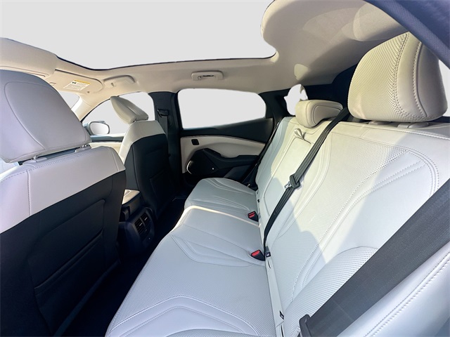 2021 Ford Mustang Mach-E Premium photo 23