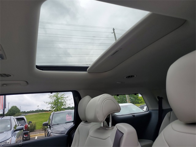 2026 Kia Carnival SX photo 8