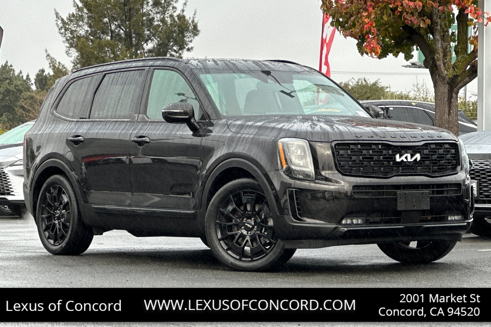 2022 Kia Telluride SX's photo